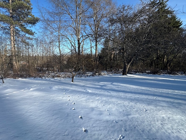 view of yard layered in snow