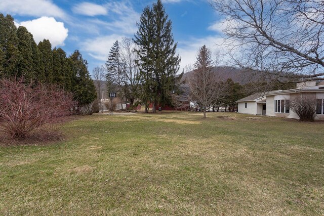 203 W Main St, Westfield, PA 16950 - photo 50