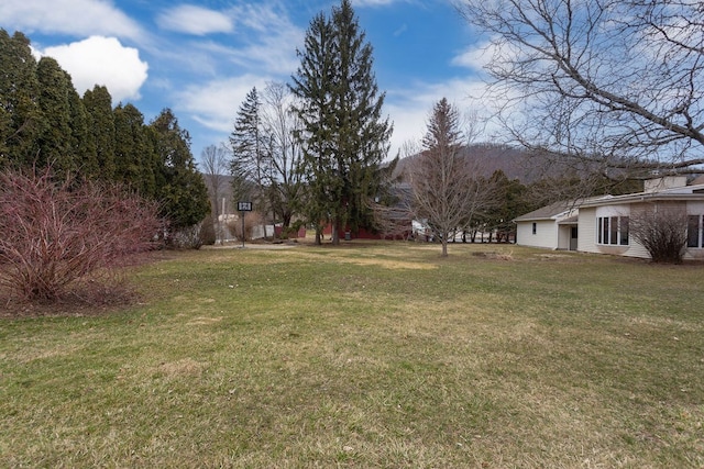 203 W Main St, Westfield, PA 16950 - photo 49