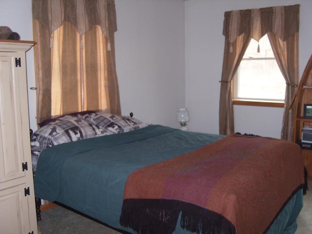 484 French Hill Rd, Middlebury Center, PA 16935 - view of carpeted bedroom