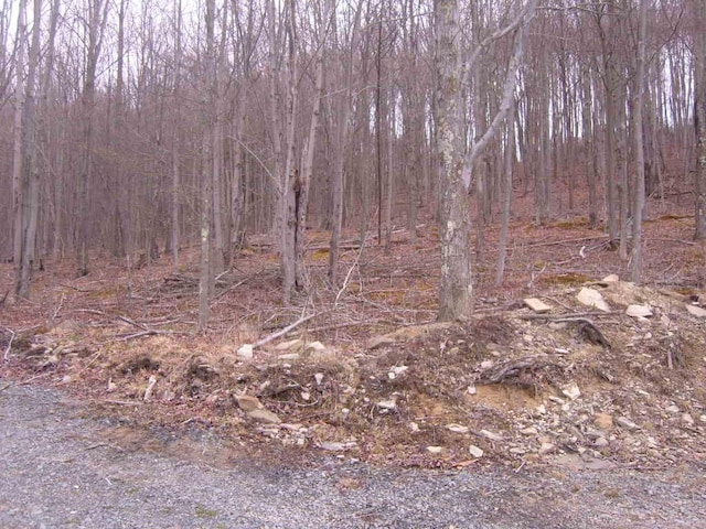 484 French Hill Rd, Middlebury Center, PA 16935 - view of landscape featuring a forest view