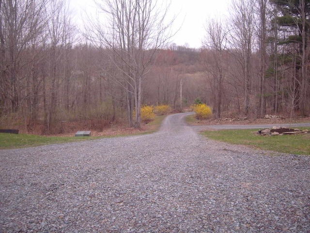 484 French Hill Rd, Middlebury Center, PA 16935 - view of street with a wooded view