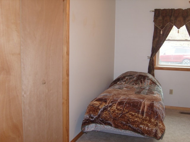 484 French Hill Rd, Middlebury Center, PA 16935 - bedroom with carpet floors, visible vents, and baseboards