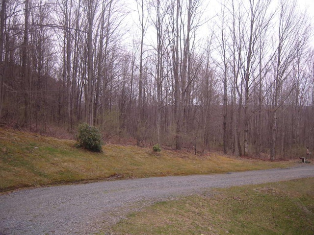 484 French Hill Rd, Middlebury Center, PA 16935 - view of road with a forest view