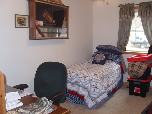 484 French Hill Rd, Middlebury Center, PA 16935 - view of carpeted bedroom