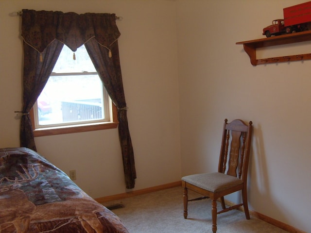 484 French Hill Rd, Middlebury Center, PA 16935 - bedroom featuring light carpet and baseboards