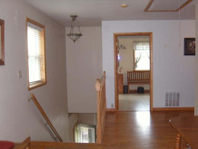 484 French Hill Rd, Middlebury Center, PA 16935 - interior space featuring a healthy amount of sunlight, wood finished floors, and visible vents