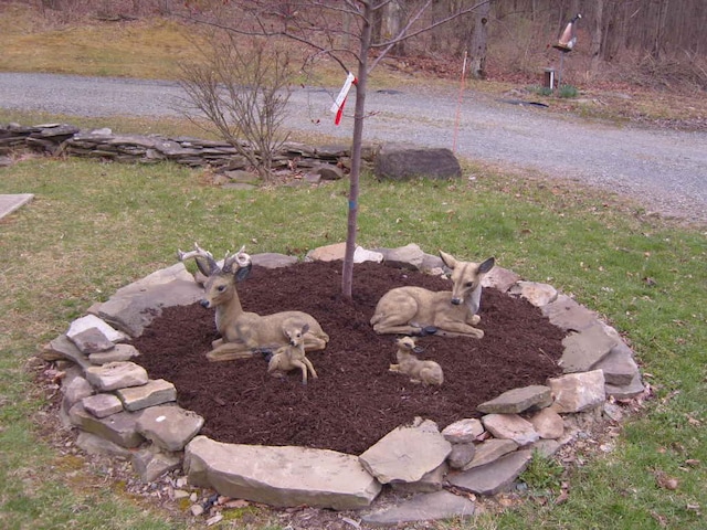 484 French Hill Rd, Middlebury Center, PA 16935 - view of yard