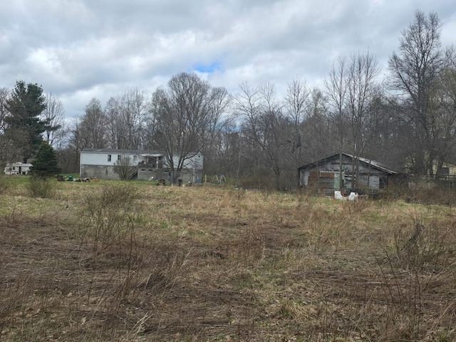 296 Low St, Shinglehouse, PA 16748 - view of yard