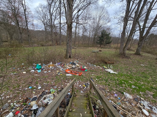 296 Low St, Shinglehouse, PA 16748 - view of yard with a wooded view