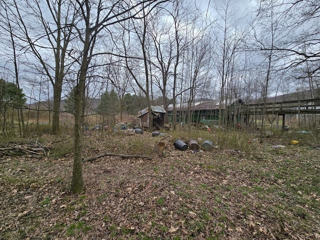 296 Low St, Shinglehouse, PA 16748 - view of yard