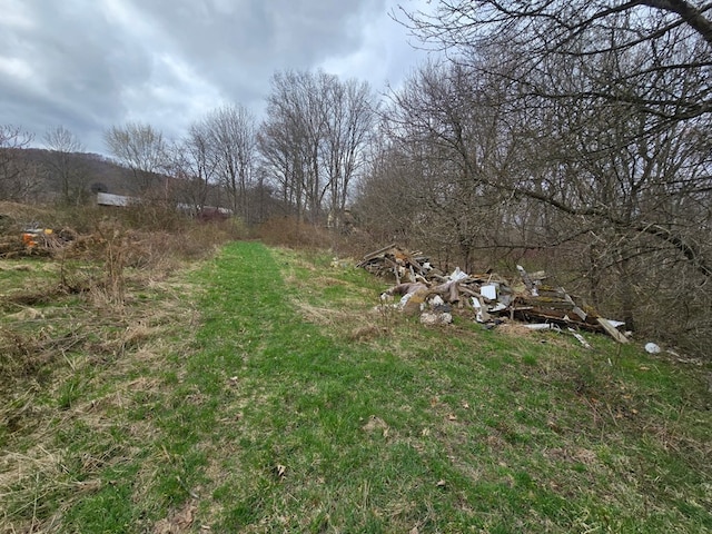 296 Low St, Shinglehouse, PA 16748 - view of yard