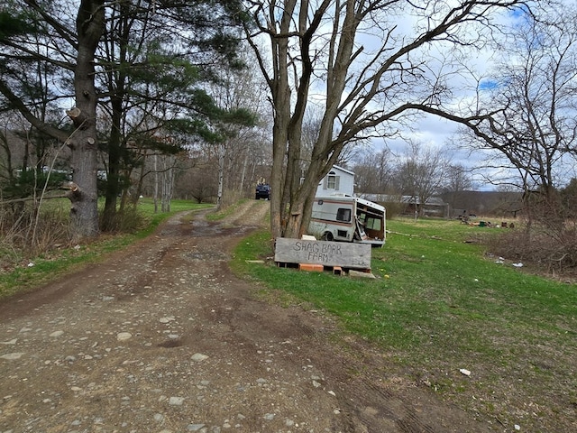 296 Low St, Shinglehouse, PA 16748 - view of dirt / gravel road