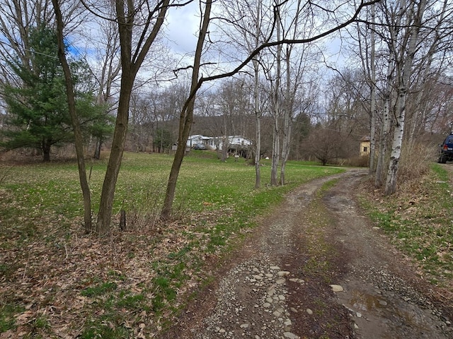 296 Low St, Shinglehouse, PA 16748 - view of dirt / gravel road