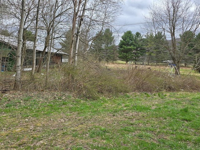 296 Low St, Shinglehouse, PA 16748 - view of yard