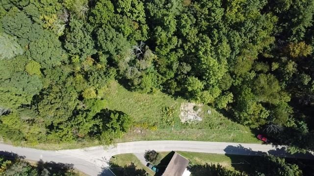 29 Depot Hill Rd, Lawrenceville, PA 16929 - photo 3