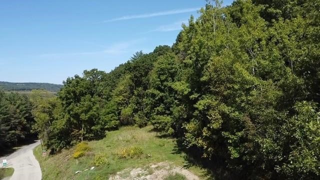 29 Depot Hill Rd, Lawrenceville, PA 16929 - photo 5