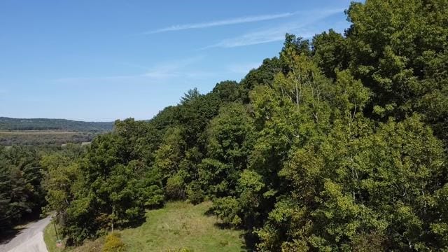 29 Depot Hill Rd, Lawrenceville, PA 16929 - photo 7