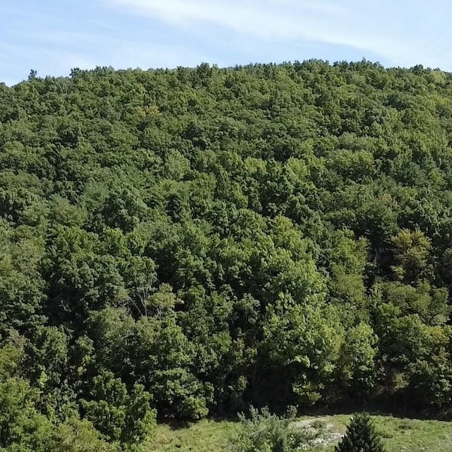29 Depot Hill Rd, Lawrenceville, PA 16929 - photo 4