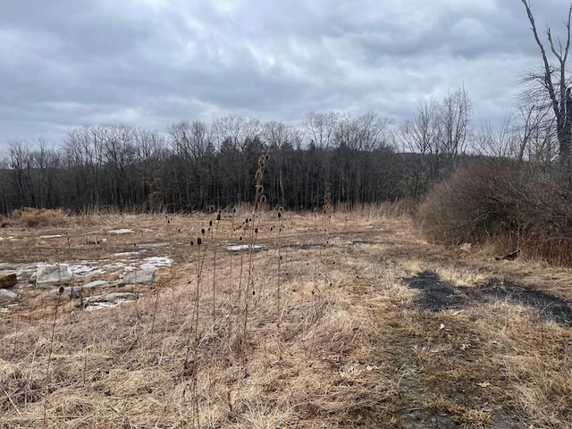 637 Oak Hill Rd, Barton NY, 13734 land for sale