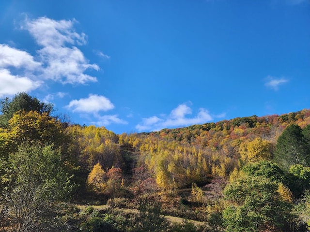 286 Hidden Hollow Farm Dr, Austin, PA 16720 - view of mountain backdrop with a forest