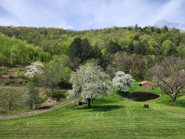 286 Hidden Hollow Farm Dr, Austin, PA 16720 - surrounding community with a yard and a wooded view