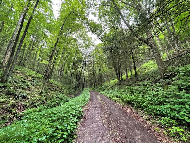 286 Hidden Hollow Farm Dr, Austin, PA 16720 - view of street featuring a view of trees