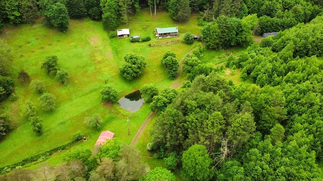 286 Hidden Hollow Farm Dr, Austin, PA 16720 - view of rural area