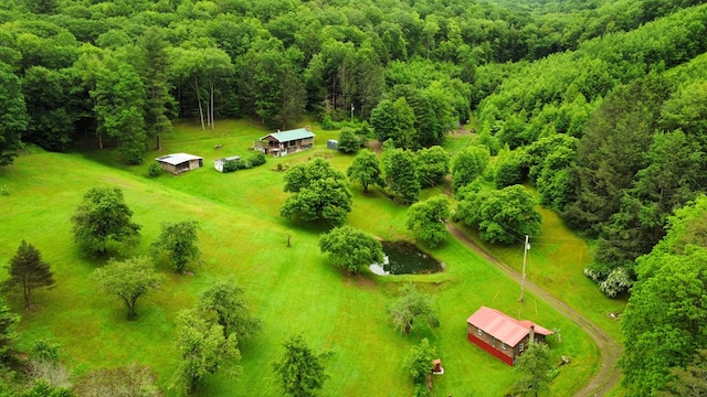 286 Hidden Hollow Farm Dr, Austin, PA 16720 - view of rural area with a forest
