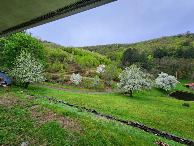 286 Hidden Hollow Farm Dr, Austin, PA 16720 - view of grassy yard