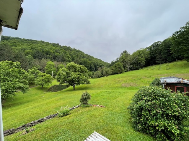 286 Hidden Hollow Farm Dr, Austin, PA 16720 - view of grassy yard featuring a view of trees
