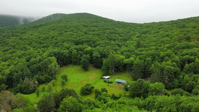 286 Hidden Hollow Farm Dr, Austin, PA 16720 - aerial view of a heavily wooded area and mountains