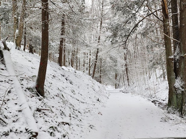286 Hidden Hollow Farm Dr, Austin, PA 16720 - view of snow covered land with a forest view
