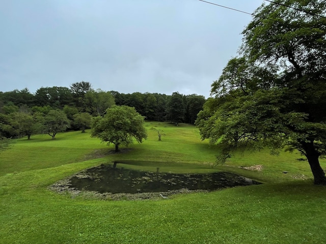 286 Hidden Hollow Farm Dr, Austin, PA 16720 - view of community with a yard