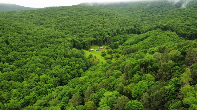 286 Hidden Hollow Farm Dr, Austin, PA 16720 - drone / aerial view of a heavily wooded area