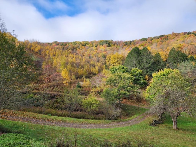 286 Hidden Hollow Farm Dr, Austin, PA 16720 - view of tree filled area