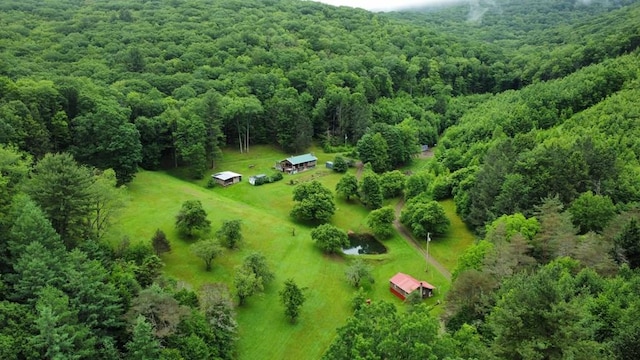 286 Hidden Hollow Farm Dr, Austin, PA 16720 - view of rural area featuring a forest