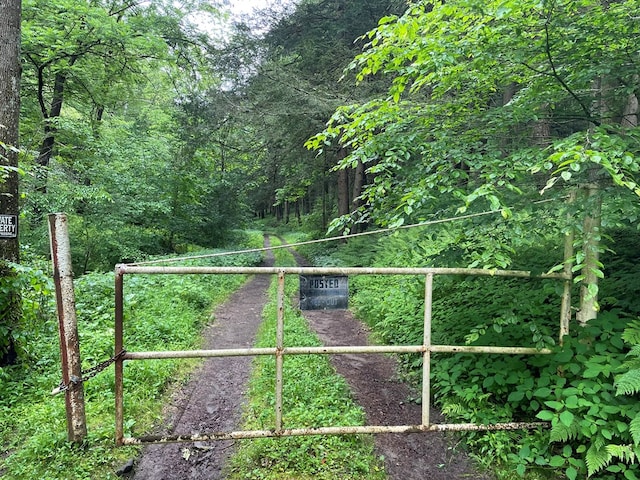 286 Hidden Hollow Farm Dr, Austin, PA 16720 - view of yard featuring a view of trees
