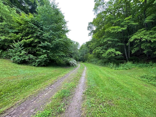 286 Hidden Hollow Farm Dr, Austin, PA 16720 - view of road featuring a forest view