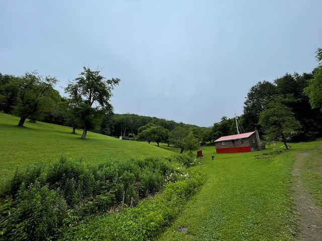 286 Hidden Hollow Farm Dr, Austin, PA 16720 - view of green lawn with a rural view and a view of trees