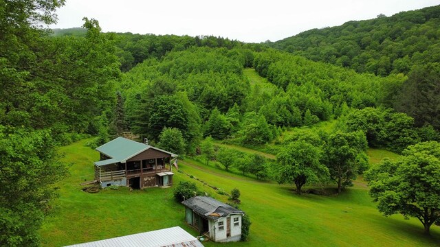 286 Hidden Hollow Farm Dr, Austin, PA 16720 - view from above of property with a heavily wooded area