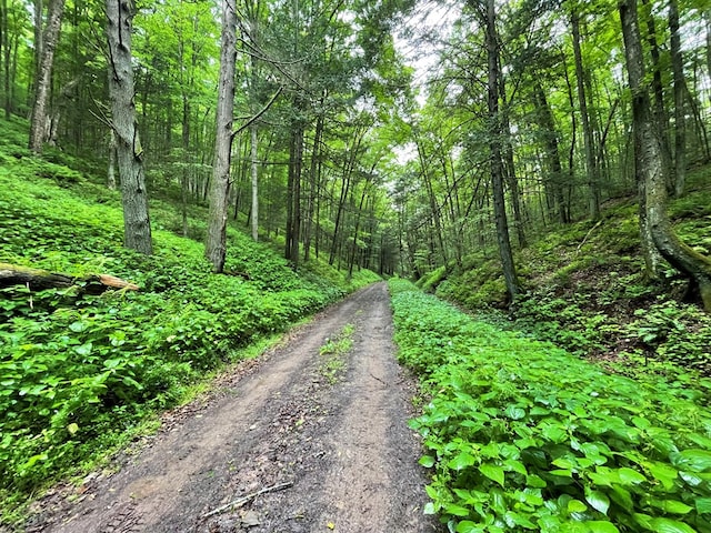 286 Hidden Hollow Farm Dr, Austin, PA 16720 - view of dirt / gravel road with a wooded view
