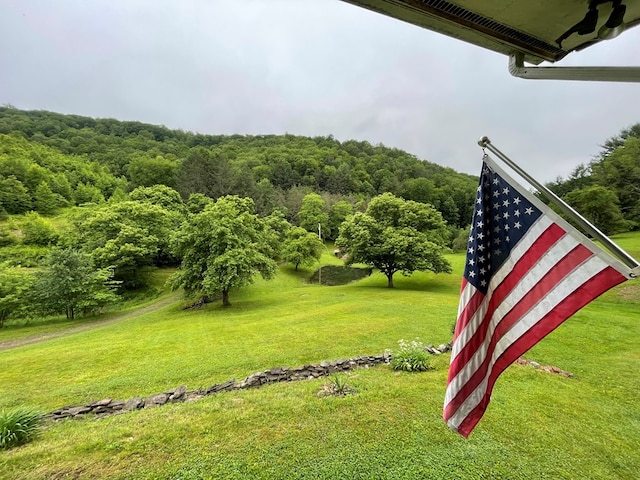 286 Hidden Hollow Farm Dr, Austin, PA 16720 - view of green lawn featuring a wooded view