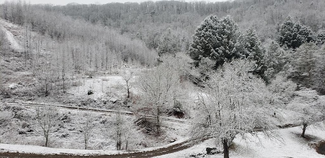 286 Hidden Hollow Farm Dr, Austin, PA 16720 - snowy aerial view featuring a view of trees