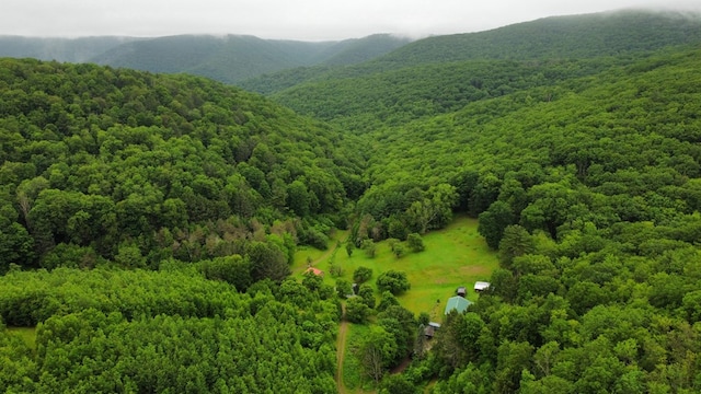 286 Hidden Hollow Farm Dr, Austin, PA 16720 - view of mountain background with a heavily wooded area