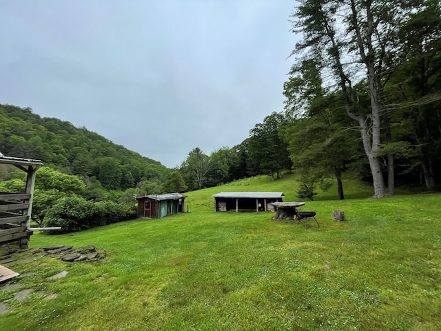 286 Hidden Hollow Farm Dr, Austin, PA 16720 - view of grassy yard with a wooded view and a shed