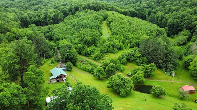 286 Hidden Hollow Farm Dr, Austin, PA 16720 - view of rural area featuring a heavily wooded area