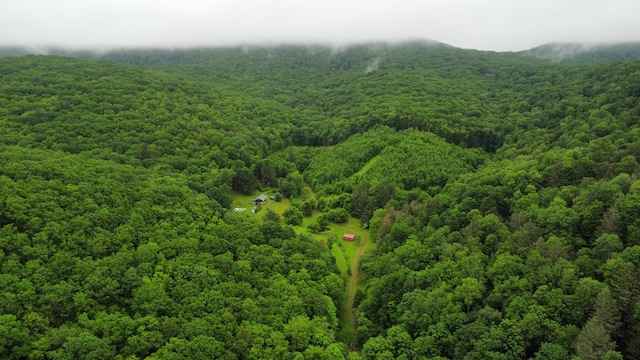 286 Hidden Hollow Farm Dr, Austin, PA 16720 - aerial view of a forest
