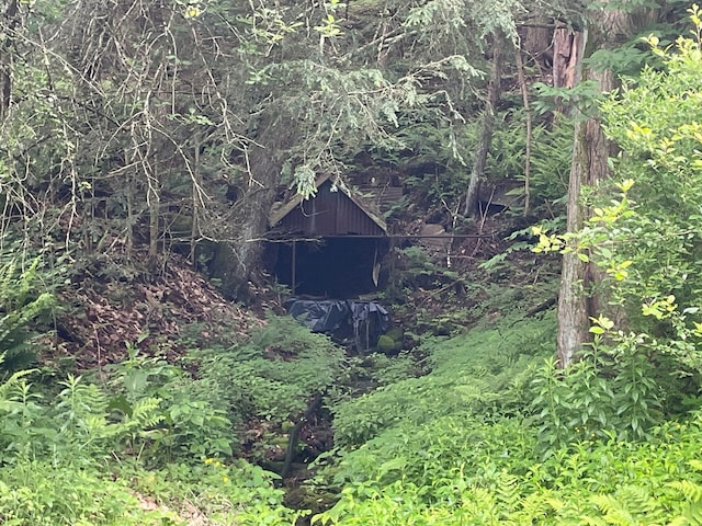 286 Hidden Hollow Farm Dr, Austin, PA 16720 - view of outdoor structure