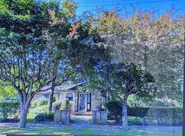 view of property hidden behind natural elements featuring a front lawn